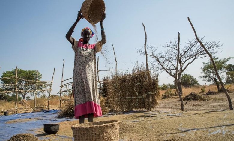 منطمة الغذاء العالمي تحذر من أزمة مجاعة في السودان أمدر تايميز 