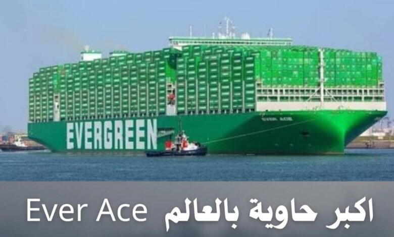 FBIMG1732985681459 امدر تايمز