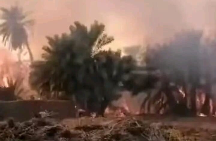 IMG20241207WA0020 امدر تايمز