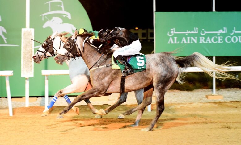 IMG20241213WA0009 امدر تايمز