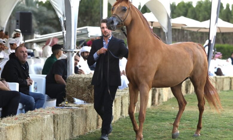 IMG20241231WA0002 امدر تايمز