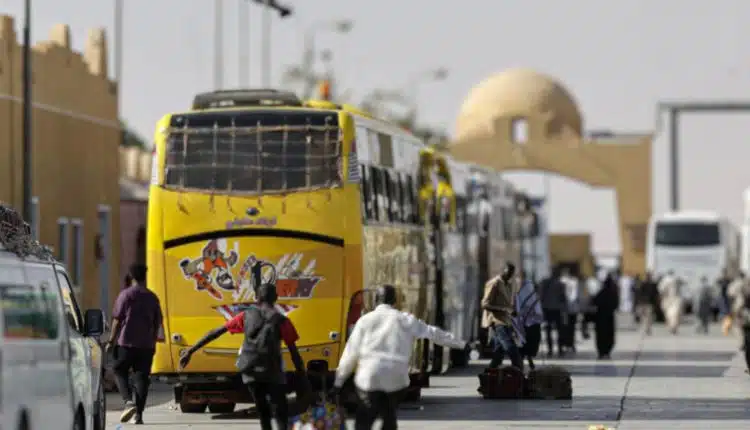 IMG3457 امدر تايمز