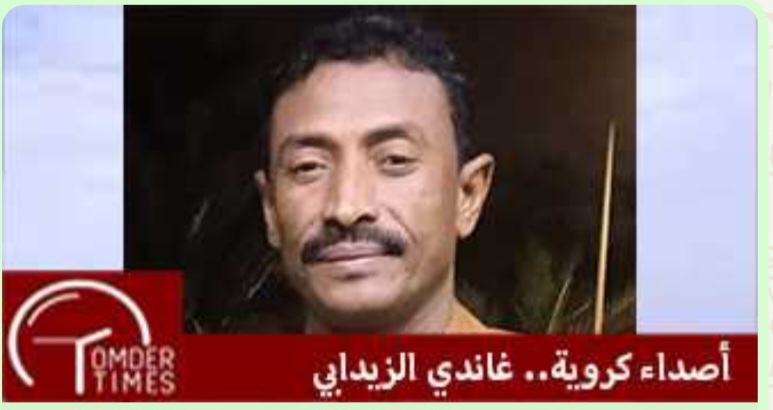 Screenshot٢٠٢٤١١٣٠١٢٥٨٤٨WhatsApp امدر تايمز