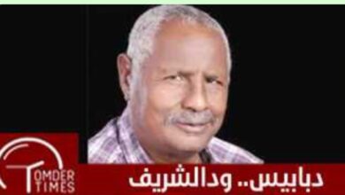 ودالشريف