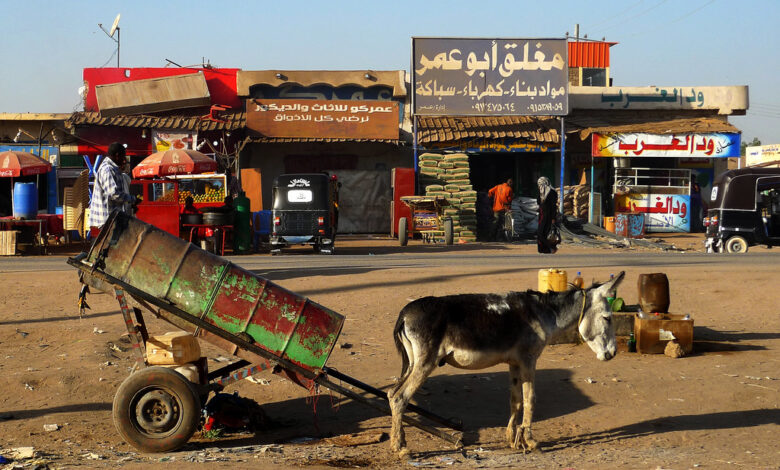 713307745541c32e3e39b امدر تايمز