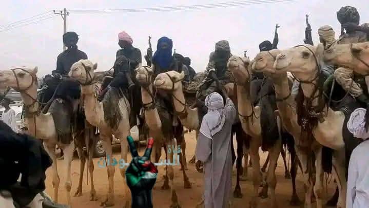 9b6524f04c6d4f6490eb1f7026a2f629 امدر تايمز