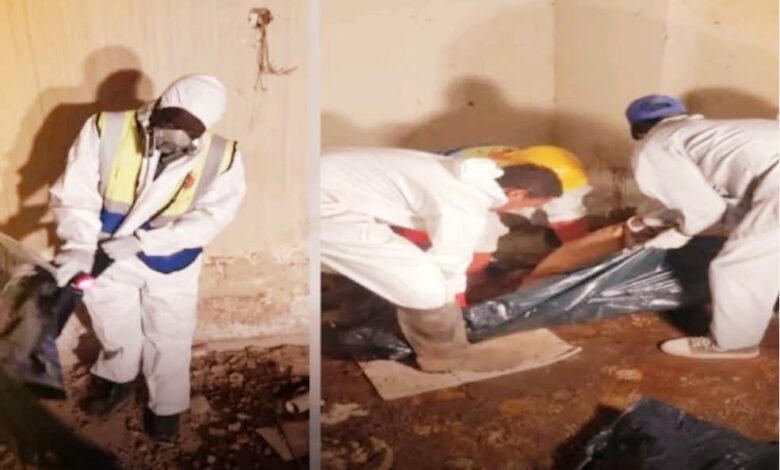 FBIMG1739009309679 امدر تايمز