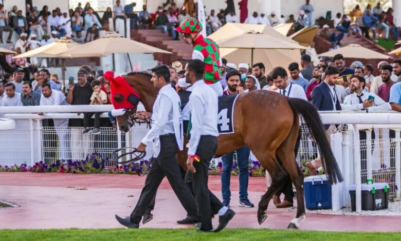 IMG20250201WA0028 امدر تايمز