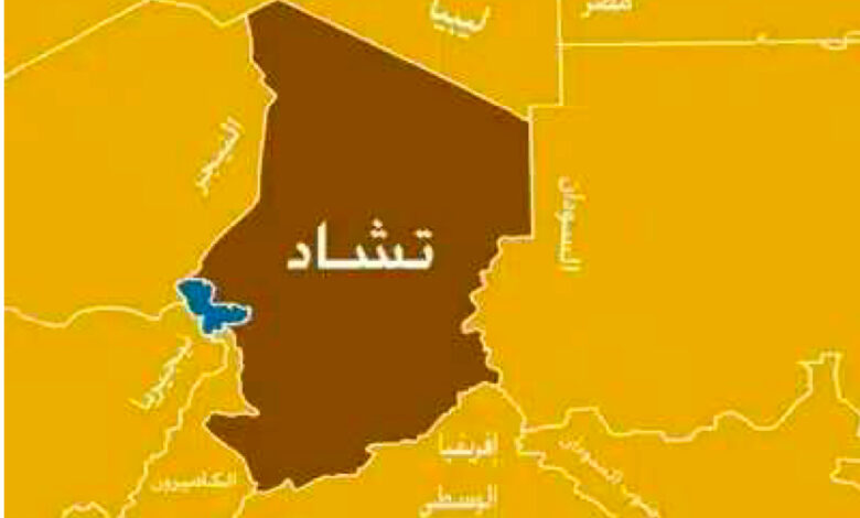 IMG5408 امدر تايمز