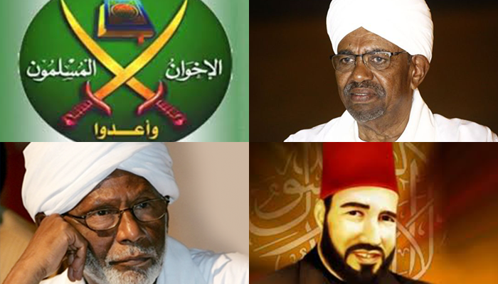 piccc امدر تايمز