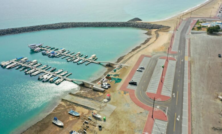 IMG20250228WA0098 امدر تايمز