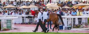 IMG20250308WA0005 امدر تايمز