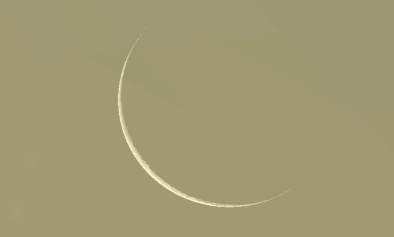 IMG20250327WA0076 امدر تايمز
