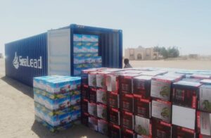 IMG20250329WA0024 امدر تايمز