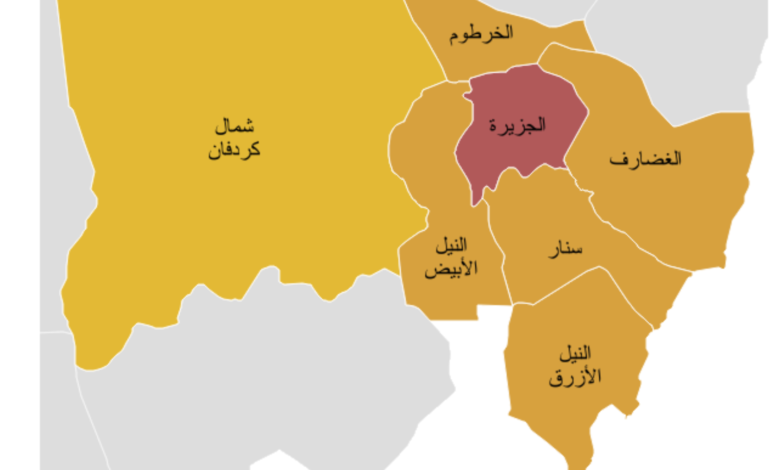 image20240301203721616 امدر تايمز