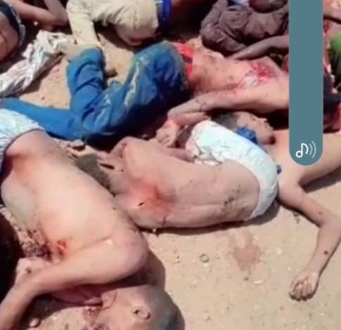 202074516cfe485f9cf1fb9060172d9e امدر تايمز