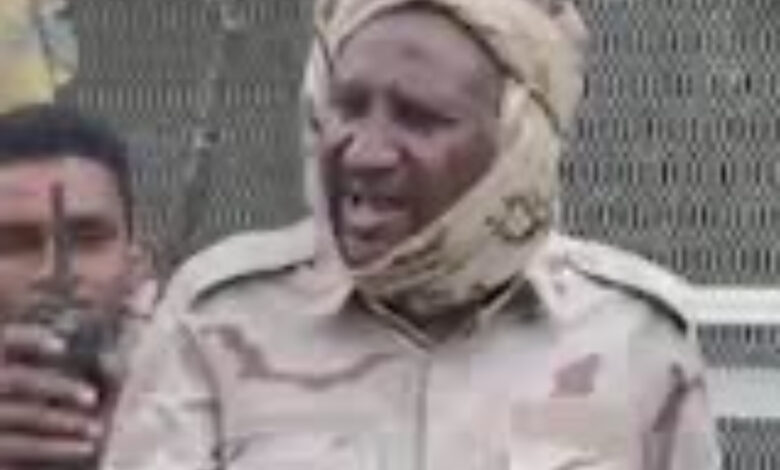 IMG7590 امدر تايمز