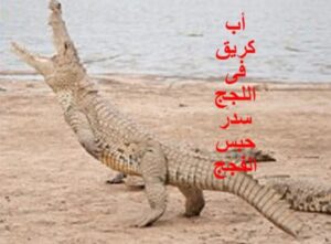 Screenshot٢٠٢٥٠٤٠٤١٨٥٧٣٧Facebook امدر تايمز