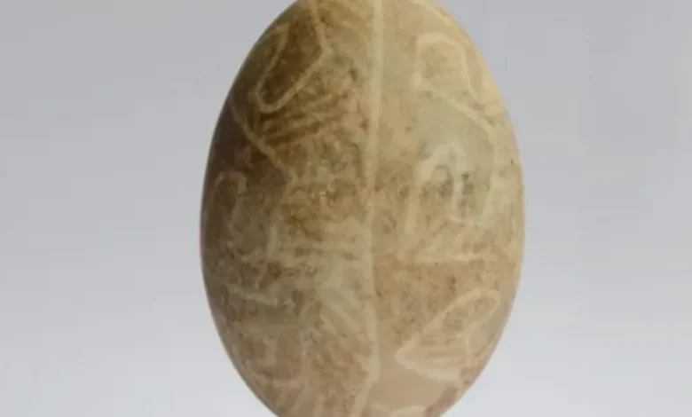 بيضة عيد الفصح امدر تايمز