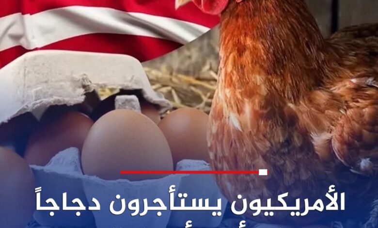 FBIMG1746454566382 امدر تايمز
