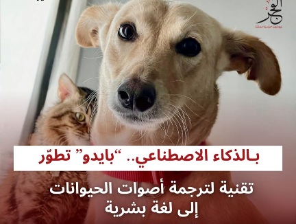 FBIMG1746860135008 امدر تايمز