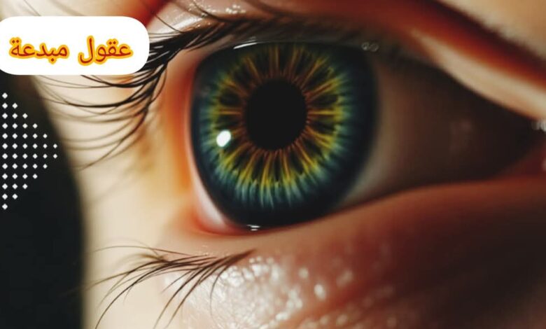 FBIMG1747836402992 امدر تايمز