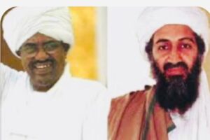 IMG20250519WA0013 امدر تايمز