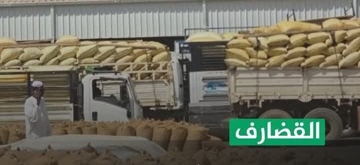 FBIMG1749446239148 امدر تايمز
