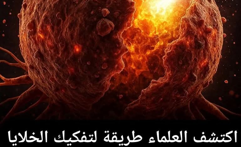 FBIMG1750427807461 امدر تايمز