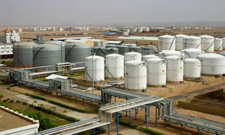 IMG9364 امدر تايمز