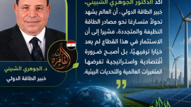 الجوهري الشبيني: الاستثمار في الطاقة النظيفة أصبح ضرورة استراتيجية لتعزيز الاقتصاد وتحقيق التنمية المستدامة كتبت هدى العيسوى