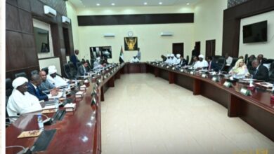 قرر مجلس الوزراء، خلال جلسته المنعقدة برئاسة رئيس الوزراء كامل إدريس، دخول الحكومة مباشرة في استيراد المشتقات البترولية،
