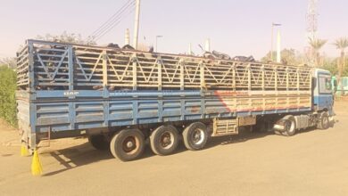 ضبط جهاز حماية الأراضي بمحلية شرق النيل ثلاثة جرارات كانت تنقل كميات من خردة الحديد ومخلفات الحرب دون استيفاء التصاريح القانونية، ضمن الحملات الرامية