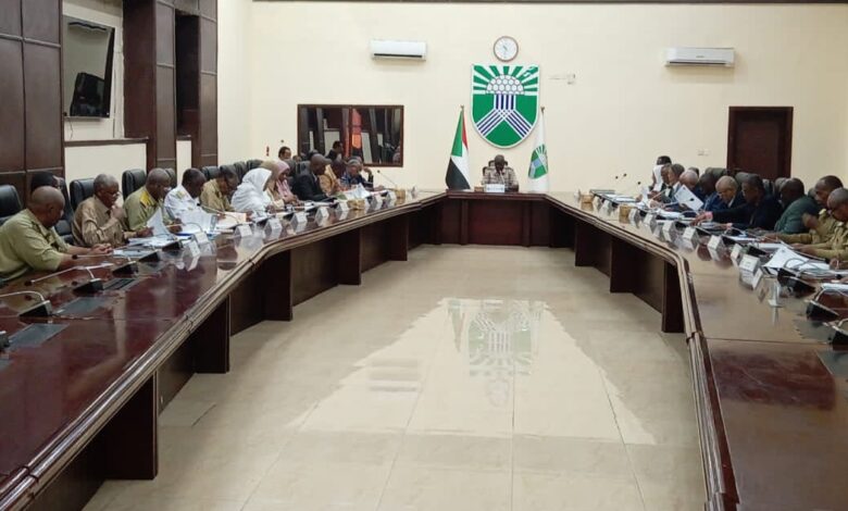 اعتمدت ولاية الخرطوم معالجات دائمة لمواجهة انحسار النيل عن محطات المياه، وأشادت بتحسن إمدادات الكهرباء، وأكدت استمرار إزالة التعديات وتطبيق حظر التجوال، مع تعزيز الاستعدادات لموسم الخريف.