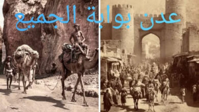 احمد حسن صالح يحي. باشGنة. كاتب ومحلل سياسي وأديب.