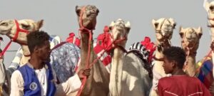 والي الخرطوم أحمد عثمان حمزة يتعهد باستكمال تأهيل مضمار الهجن بأمبدة، خلال انطلاق سباق الهجن ضمن احتفالات السودان بالعيد الـ72 للقوات المسلحة السودانية.