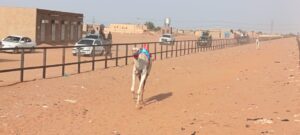 والي الخرطوم أحمد عثمان حمزة يتعهد باستكمال تأهيل مضمار الهجن بأمبدة، خلال انطلاق سباق الهجن ضمن احتفالات السودان بالعيد الـ72 للقوات المسلحة السودانية.