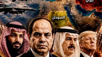 مصر تتمسك بثوابتها الأمنية وسط تصاعد التوترات الإقليمية
