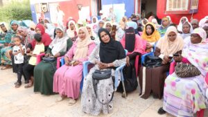 صديق حسن فريني، المرأة السودانية، برنامج نحكي ونسمع، الهيئة النسوية السودانية القومية، وزارة التنمية الاجتماعية ولاية الخرطوم