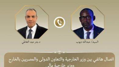 وزير الخارجية ونظيره المالي يبحثان سبل تعزيز العلاقات الثنائية وتطورات الأوضاع في منطقة الساحل