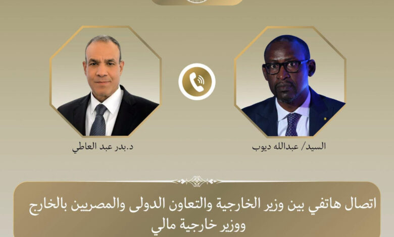 وزير الخارجية ونظيره المالي يبحثان سبل تعزيز العلاقات الثنائية وتطورات الأوضاع في منطقة الساحل