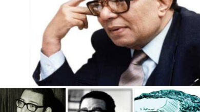 عظيم من عظماء مصر حفيد من احفاد الفراعنه العظماء من بلاط صاحبه الجلاله