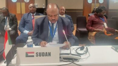 محي الدين سالم، وزير الخارجية السوداني، إقليم البحيرات العظمى، لوساكا، زامبيا، التدخلات الخارجية، تهريب الذهب، الأمن الإقليمي، السودان والكونغو الديمقراطية.
