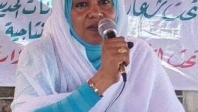 وزارة الإنتاج بسنار توسع تطبيق برنامج «إيصالي» للتحصيل الإلكتروني في القطاع المطري، وسط تأكيدات بدوره في ضبط الإيرادات وزيادتها.